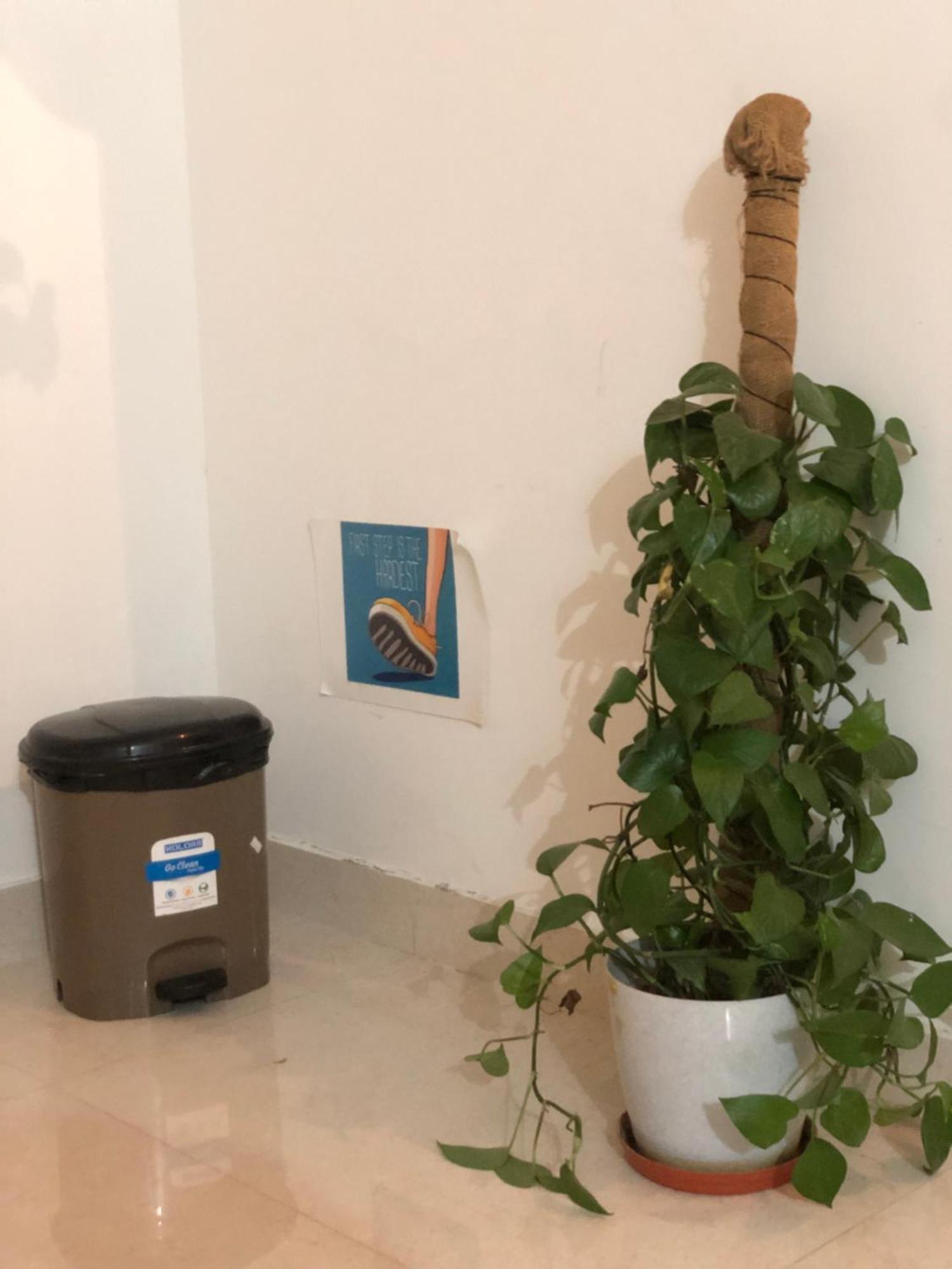 Appartement Sapthagiri Nest à Chikmagalūr Extérieur photo